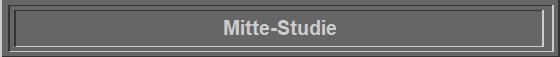 Mitte-Studie