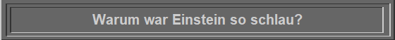 Warum war Einstein so schlau?